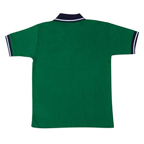 Image of PROLIFE KENDRIYA VIDHYALAYA (KV) School House Tshirts