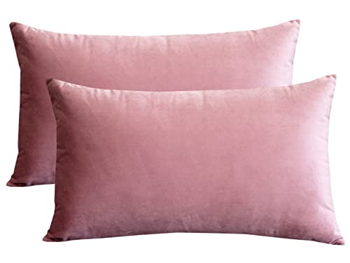 Lutanky Lot de 2 élégant en velours Couvrelit Taies d'oreiller doux Housse de coussin solide rectangulaire décoratifs Taies d'oreiller pour canapé Chambre à coucher de voiture (50 x 30 cm,
