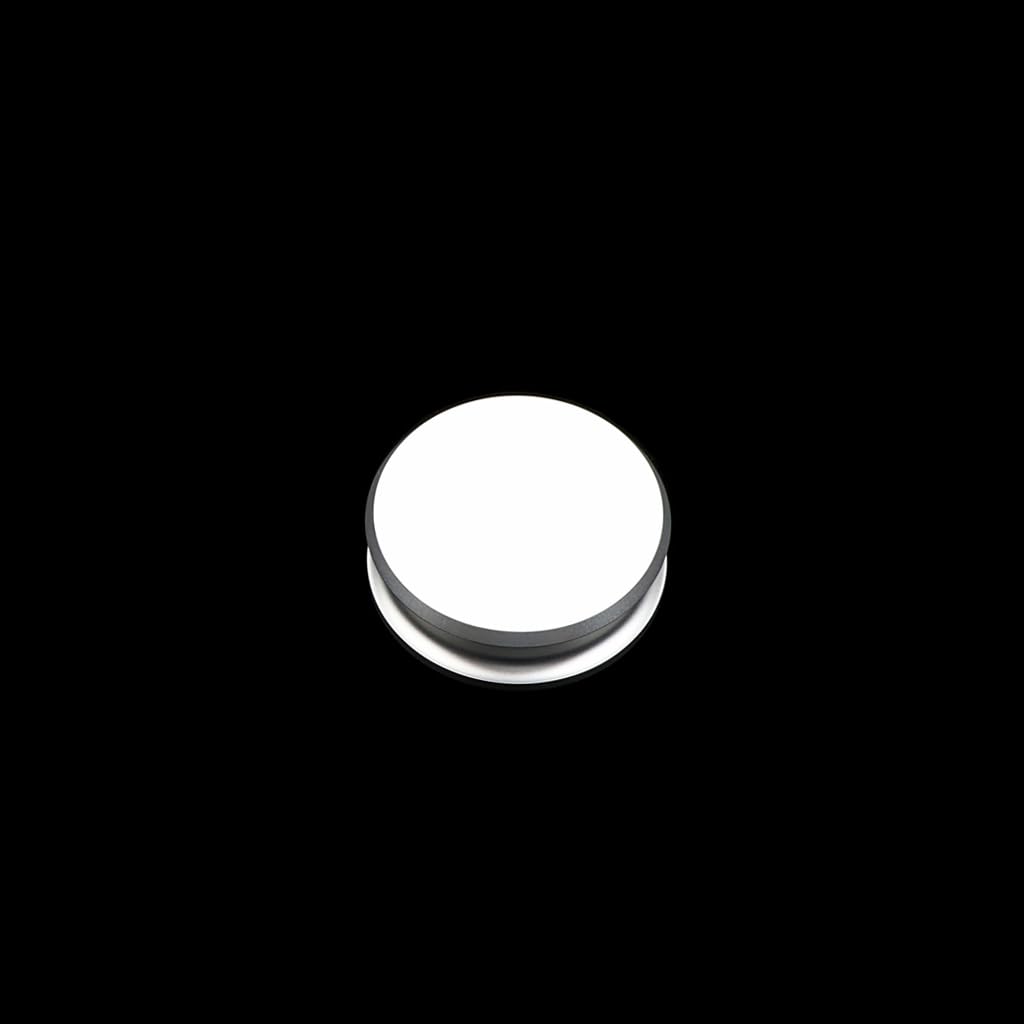 Alnicov Stabilisateur de poids pour platine vinyle, pince de poids, support souple pour disques vinyles LP, argent
