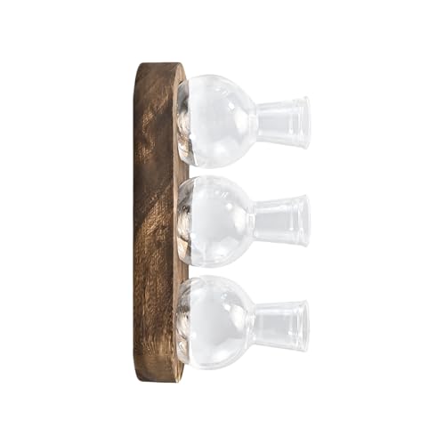 Vasi per piante idroponiche Vasi per bulbi Terrari per fiori Fioriera da tavolo con vassoio in legno Decorazione da tavolo moderna fioriera acrilica