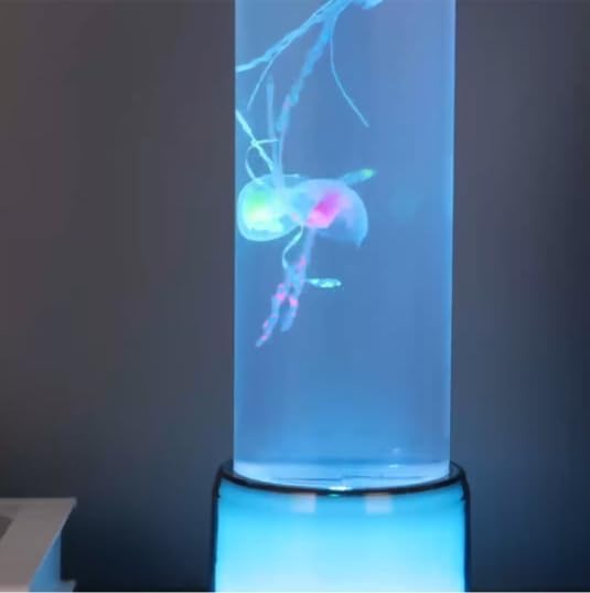 SIGNES GRIMALT Lampe LED Méduse 28 cm – Effet Aquarium Lumineux Multicolore – Recharge USB – Base Métal & Cylindre Verre