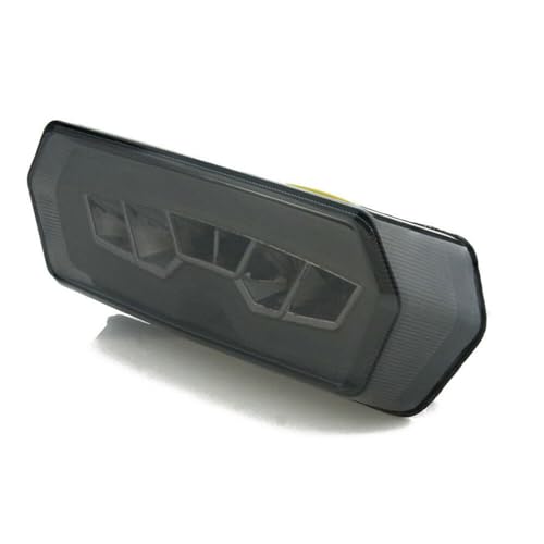 CHICHIYANG 12 V ABS Motocicleta LED Integrado Luz Freio/Corrida/Luz de Direção Peças sobressalentes