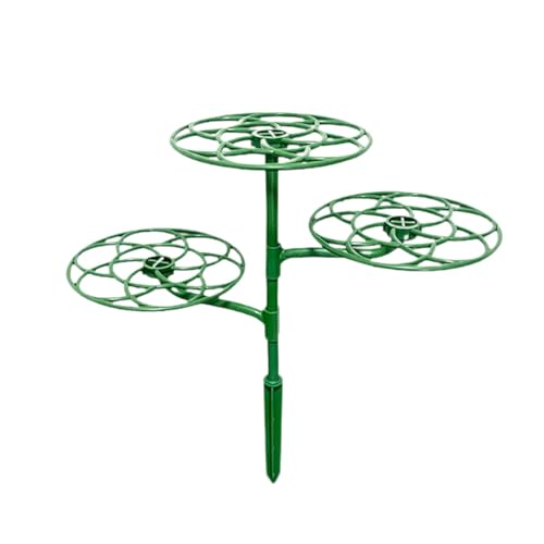 HouseVibe Plant Support Stake Cage Frame Sturdy Rust Resistant Metal for Bonsai Climbing Stem...