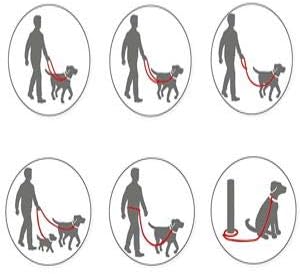DOG & DRESS Dog Collar and Lead Set, Rose Gold, Adjustable, Dog Lead 2m, 3 Rings, Carabiner, Strong Tweed + Nylon, Gift Dog (M/L 40-63 cm neck circumference)