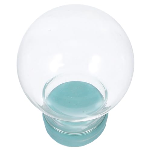 Didiseaon Boule à Neige Verre Vide pour Décoration de Noël DIY Globe Transparent Réutilisable pour Fleur Préservée Affichage Maison Bureau Magasin