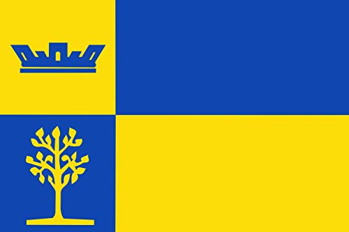 Drapeau Stad Delden grand format idéal pour décoration et commémoration - 2