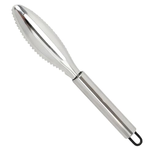 Ecailleur Poisson en Acier Inoxydable, Ecailleur Poisson Professionnel, Outil de Nettoyage et...