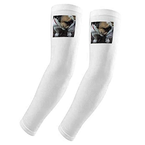 Guante con protección UV DIYthinker para fotografía de animales y exteriores