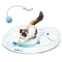 Amazon.co.jp: 猫壱(necoichi) キャッチ・ミー・イフ・ユー・キャン2