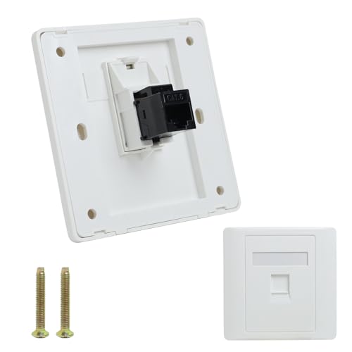 Cat6 Dual-Pass RJ45 Wall Socket
