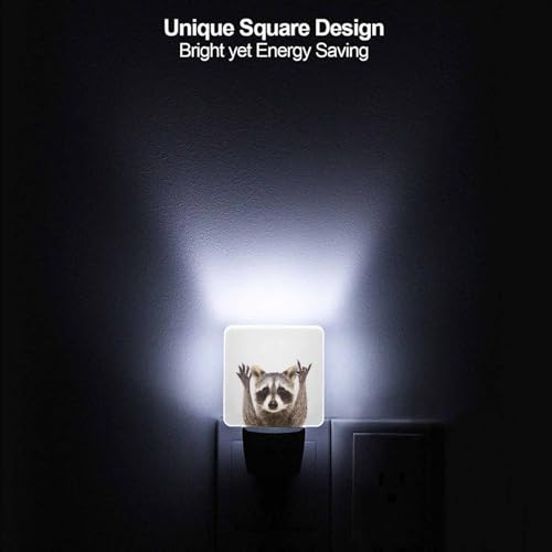 Image of LED Night Light,Funny Cute Raccoon LED Night Light Plug into Wall with Dusk to Dawn Light Sensor White Energy Efficient Nightlight for Bedroom Bathroom Hallway Living Room Kitchen