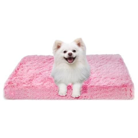 Panier Chien MDDK DY Cover