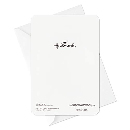 Hallmark Pacote com 2 cartas de incentivo Get Well Soon, (Tartaruga flutuante)