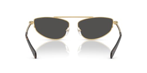 Michael Kors Women's Mk1164 Buenos Aires Oval Sunglasses4