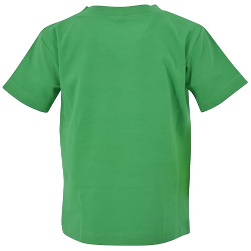 Image of Boys Short Sleeve Funny Graphic Tees for Toddler to Big Kid