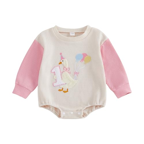 Dcohmch Baby Girl 1st Birthday Outfit One Silly Goose Romper Comfortable Long Sleeve Round Neck Jumpsuit (Apricot, 6-12 Months)