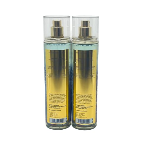 Bath & Body Works Saltwater Breeze Fine Fragrance Mist 8 oz / 236 mL - pack of 2-2023 Edition