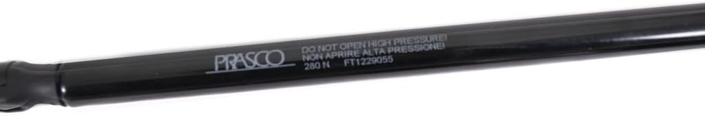 Gas Spring Tailgate Right/Left