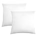 biberna 0077144 Poszewka na poduszkę, delikatny dżersej, bawełna czesana, bardzo miękka, 80 x 80 cm, biała, 2 szt