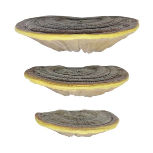 Estantes de setas de resina, decoración de pared de estante de setas - Estante de almacenamiento flotante de resina, 3 uds., seta de simulación,Mejore la decoración de la habitación Soporte de pared d