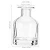 HOMSFOU Glass Diffuser Bottles: 2 Pcs Empty Diffuser Container Refillable Aromatherapy Jars Aromatherapy Container for DIY Fragrance Replacement, 150ml/5oz (Transparent) #2
