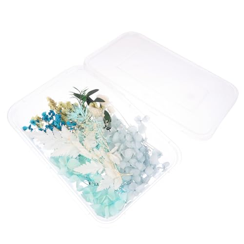 Kits de flores secas naturales para decoración artesanal miniatura 1