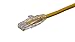 Axiom Memory Solution C6MB-Y12-Ax Network Cables
