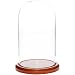 Plymor Brand 5.5" x 10" Glass Display Dome Cloche (Walnut MDF Base)