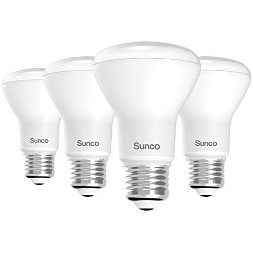 Top 10 Best Bulbs For Recessed Lighting Top Picks 2023 Reviews
