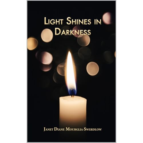 Light Shines in Darkness Audiolibro Por Janet Mourglia-Swerdlow arte de portada