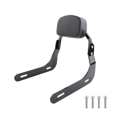 Para R18 Classic R18 B 100 Años 2020 2021 2022 2023+ Cojín De Respaldo Para Asiento De Pasajero De Motocicleta HBGURM(A1 For R18)