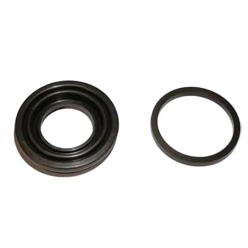 Piston guide de scellage de frein arrière pour rénovation d'étrier