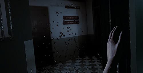 The Inpatient - vue 10