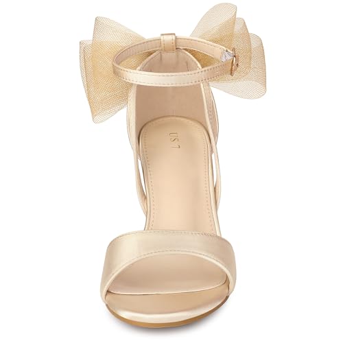 Allegra K Women's Bow Shoes Open Toe Chunky Heel Sandals2