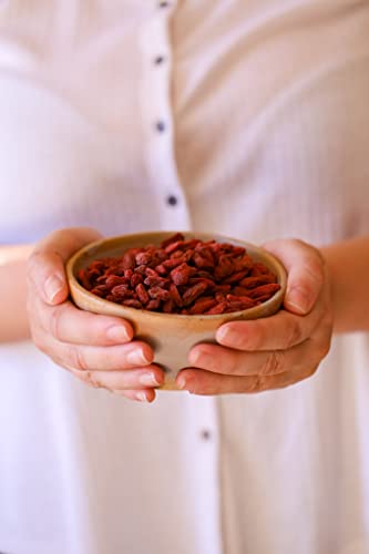 Brasil Frutt Goji Berry Desidratado pote 100g