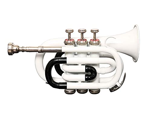 SM'SAI MUSICALS Pocket Trumpet – Compact Brass Trumpet with Full Range, Portable Trumpet for...