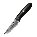 SODEN Damascus Camping Knife, VG-10 Core Full Tang Fixed Blade for Survival & Outdoor Hunting | Ergonomic Rosewood Handle | Premium Knife Tool