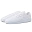 White Canvas