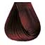 5/65, Mahogany Red