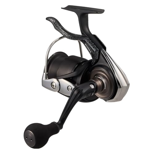 ダイワ 磯LBリール 25銀狼LBQD