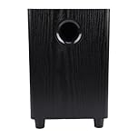 Annadue Subwoofer Speaker – 100W 6.5-inch Home Subwoofer Amplifier, Deep Bass Sound, Easy Set-up & Control, Compact, Passive Woofer for Home Theater Party