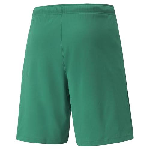 Image of Puma Men's Team Rise Knitted Regular Fit Hybrid Shorts