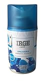 IRGE