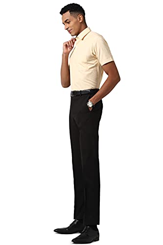 Image of Peter England Men Regular Fit Trouserss(PTF1041601338 Brown 38)