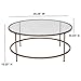 Flash Furniture Astoria Collection Round Coffee Table - Modern Clear Glass Coffee Table - Brushed Gold Frame