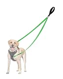 PetBonus Two Point Control Dog Leash, Works with No Pull Harnesses, No Tangle Training Leashes, Soft Padded and Reflective Walking Lead, Converts to Single Lead for Medium Large Dogs (Grass Green)