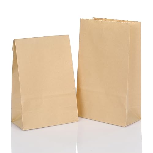 CraftWerk Kraftpapiertüten Geschenktüten klein 100 St. - Ideal...