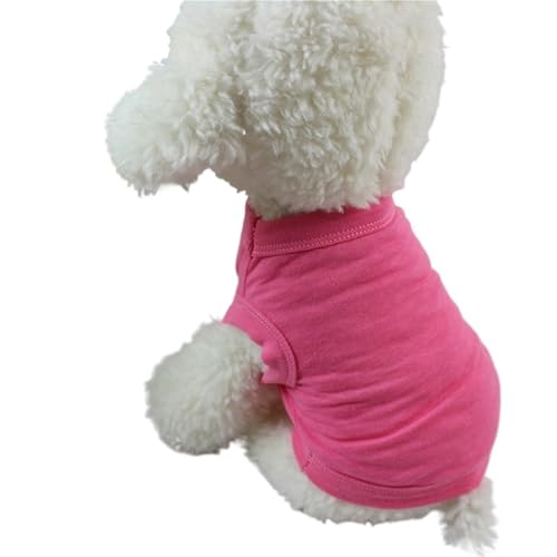 ybgxXg pVc ėp  n ^ ^ ^p 2Zbg(Pink,3XL)
