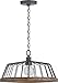 Capital Lighting 336211GL Emmett Farmhouse Dome Cage Pendant, 1-Light 100 Watts, 11"H x 18"W, Grey Wash/Iron