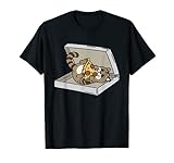 gato exotico pelo corto medellin Diseño perfecto Gato Exótico para cualquier persona que ama mascotas Exotic Shorthair Cat.